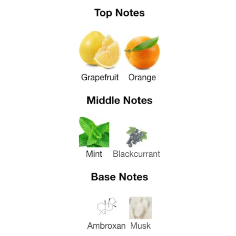 Fragrance World PINNACE - Image 2