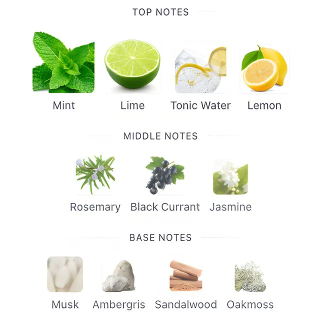 Fragrance World PLATINE BLANC AROMATIX - Image 2