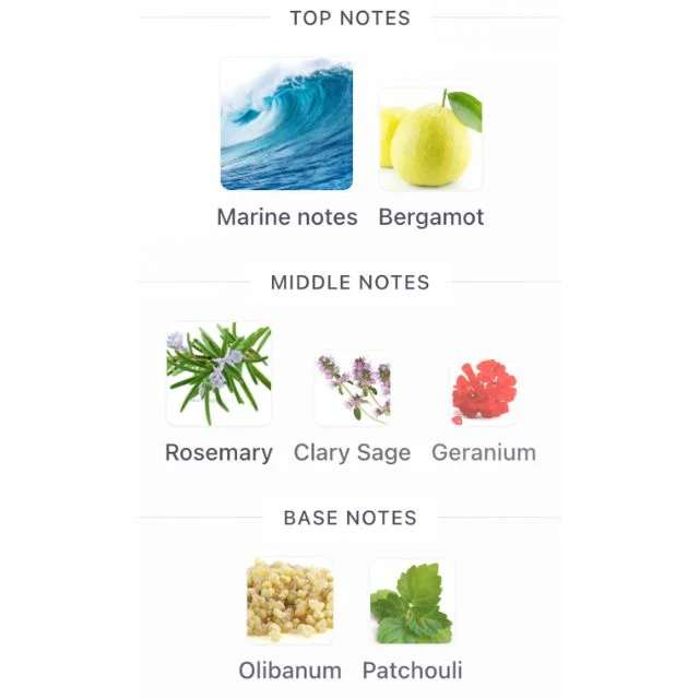 Giorgio Armani ACQUA DI GIO PARFUM - Image 2
